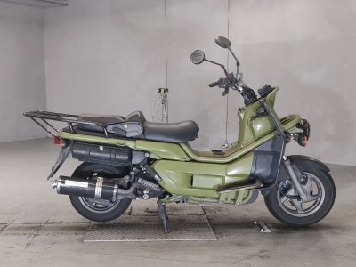 Honda PS250 BIG RUCKUS 2006