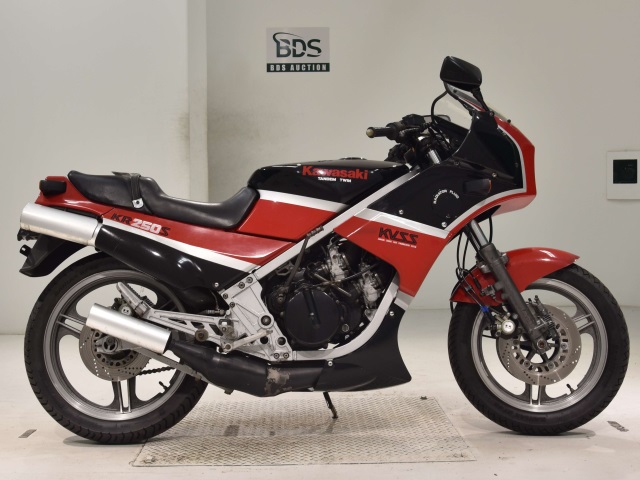 Kawasaki KR250S 1985