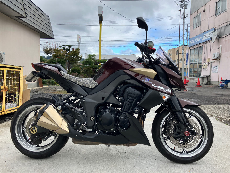 Kawasaki Z1000 2010