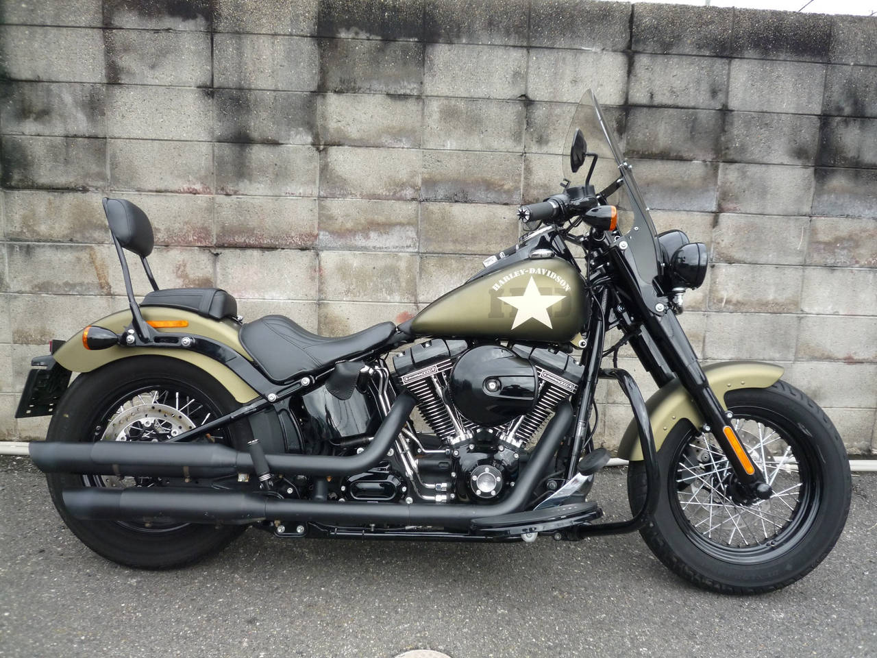 HD SLIM S FLSS1800 2015