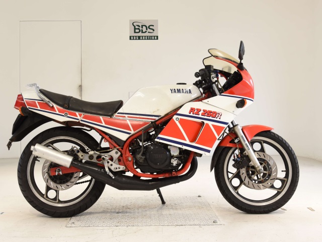 Yamaha RZ250RR 1984