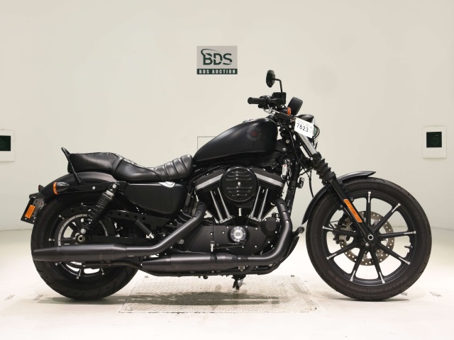 HD SPORTSTER IRON XL883N 2019