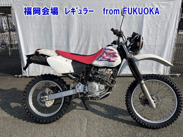 Honda XR250 BAJA 2000