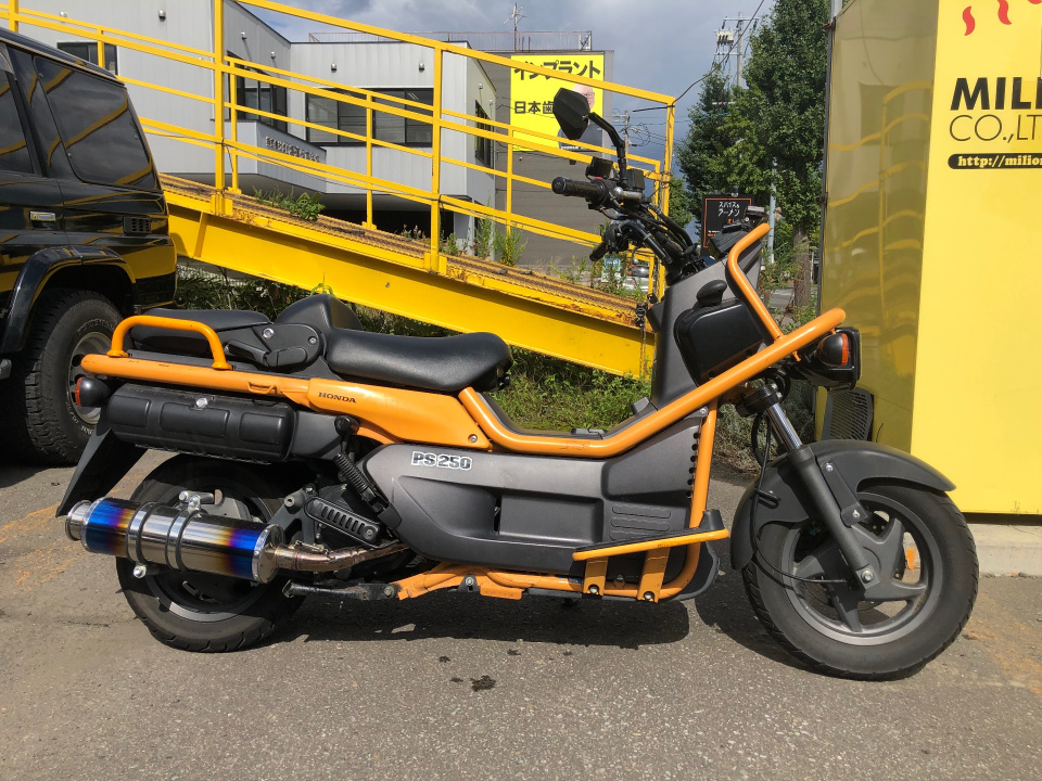 Honda PS250 BIG RUCKUS 2004