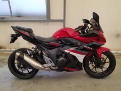 Suzuki GSX250R