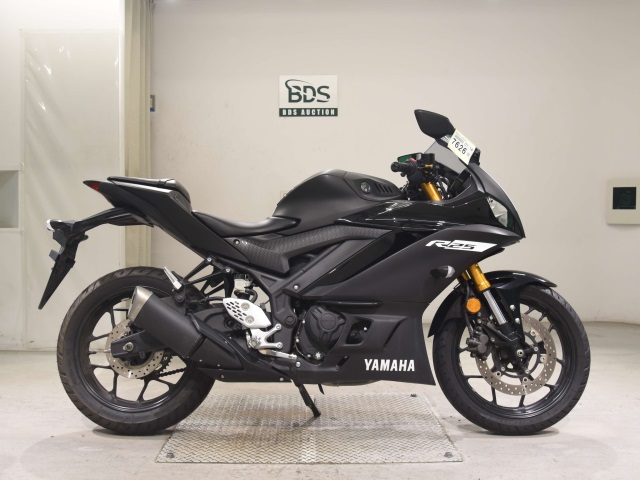 Yamaha YZF-R25 2019