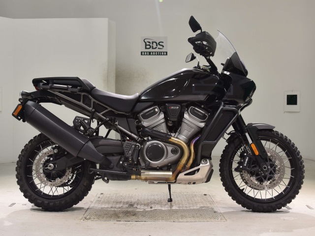 HD PAN AMERICA1250 S 2024