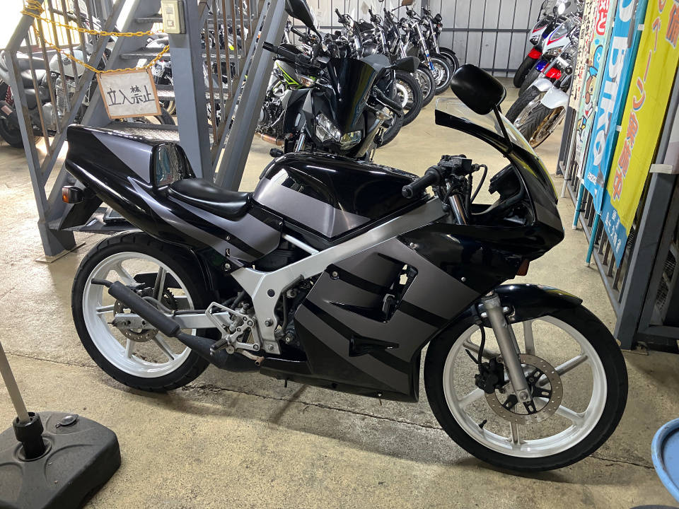 Honda NS-1 1991
