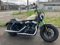 HD SPORTSTER FORTY-EIGHT XL1200X 2019