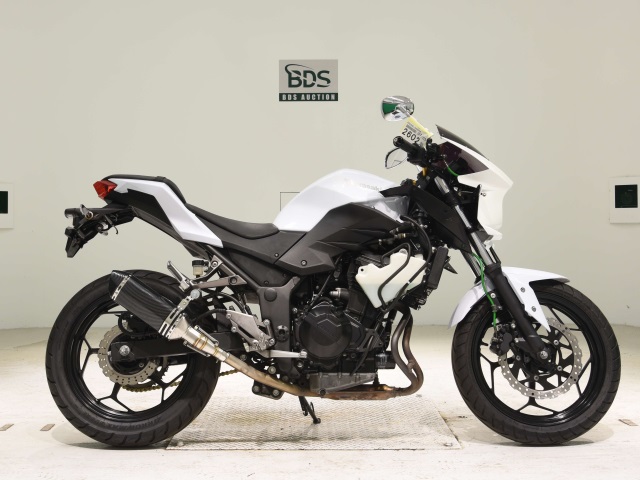 Kawasaki Z250 2013