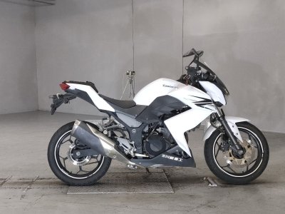 Kawasaki Z250 2013