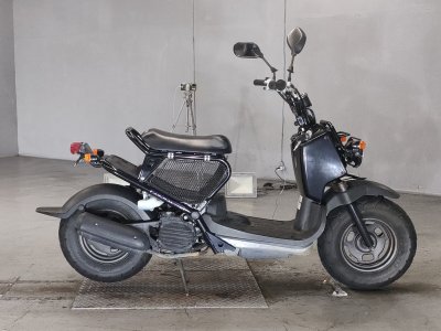Honda ZOOMER 2007