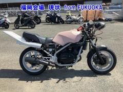 Honda VT250 SPADA 1984