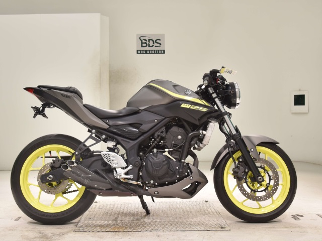 Yamaha MT-25 2018