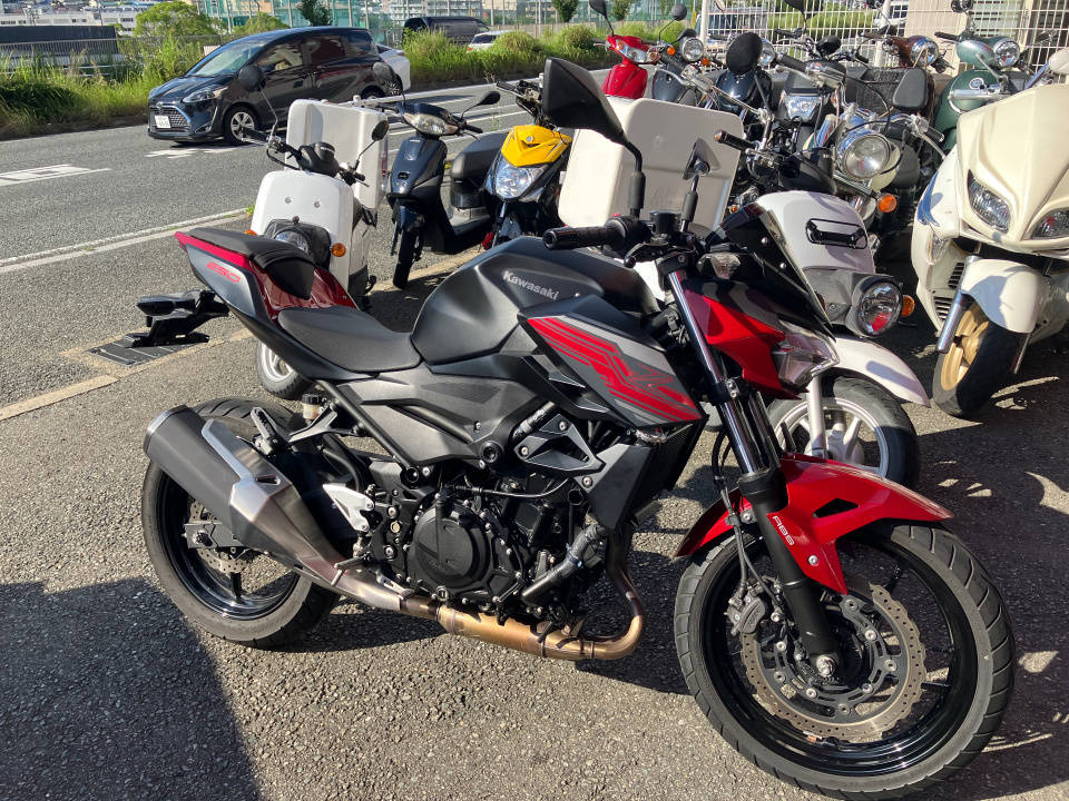 Kawasaki Z250A 2019