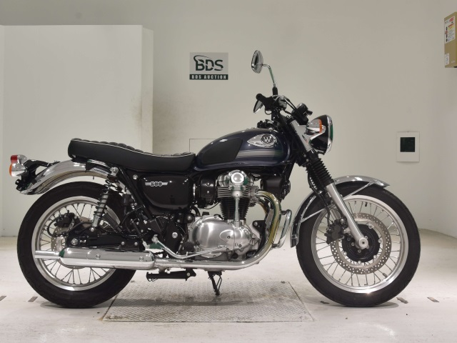 Kawasaki W800 2022