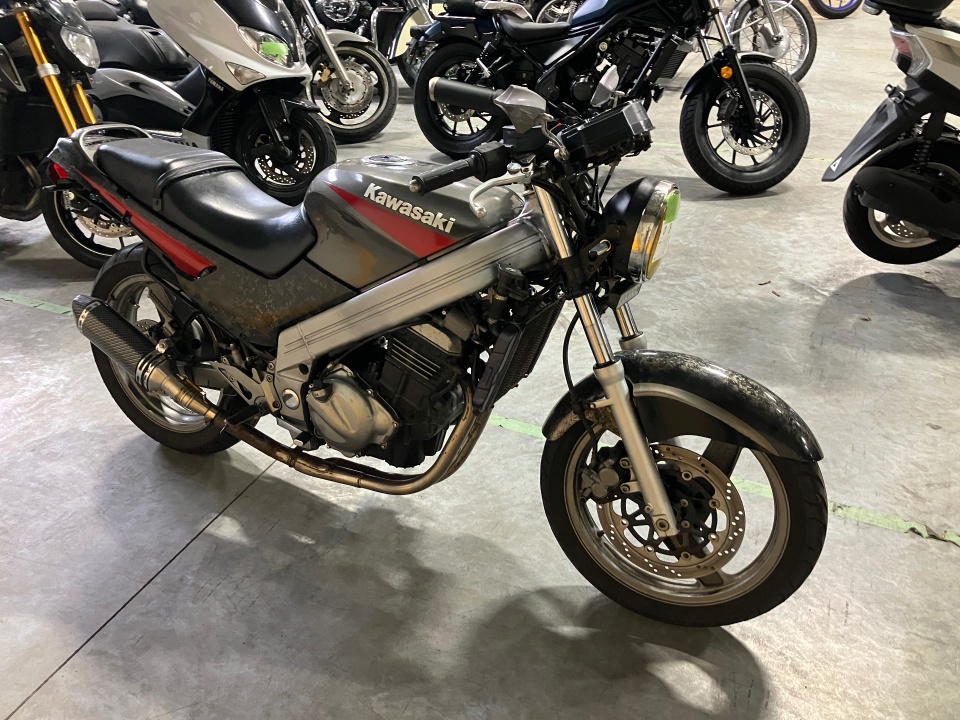 Kawasaki ZZ-R250 1994