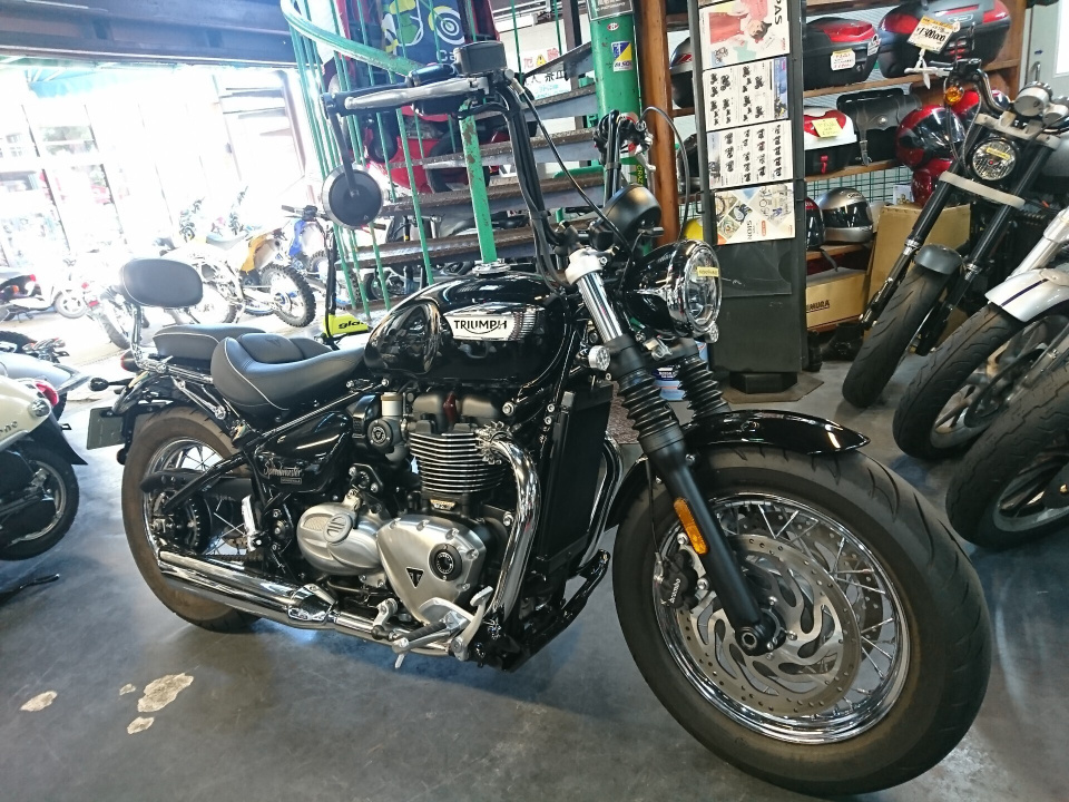 Triumph SPEED MASTER 2024