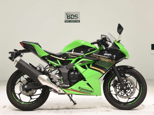 Kawasaki NINJA250 2020