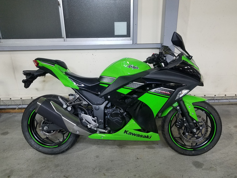 Kawasaki NINJA250 2013