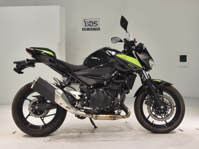 Kawasaki Z250 2022