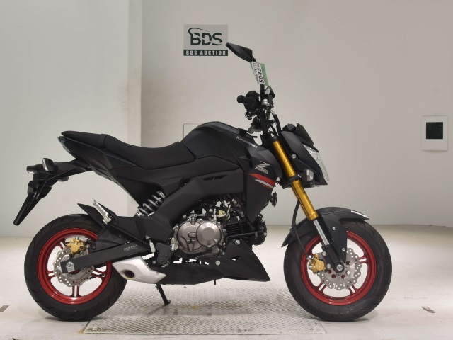 Kawasaki Z125 PRO 2021