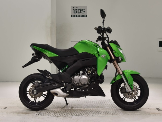 Kawasaki Z125 PRO 2016