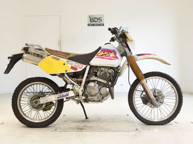 Suzuki DR250R