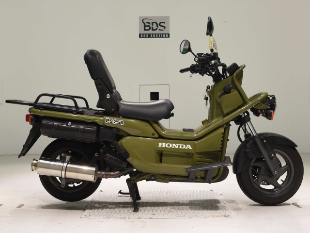 Honda PS250 BIG RUCKUS 2006