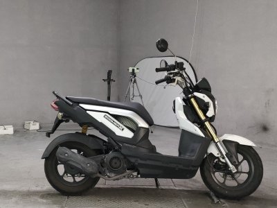 Honda ZOOMER-X 2013