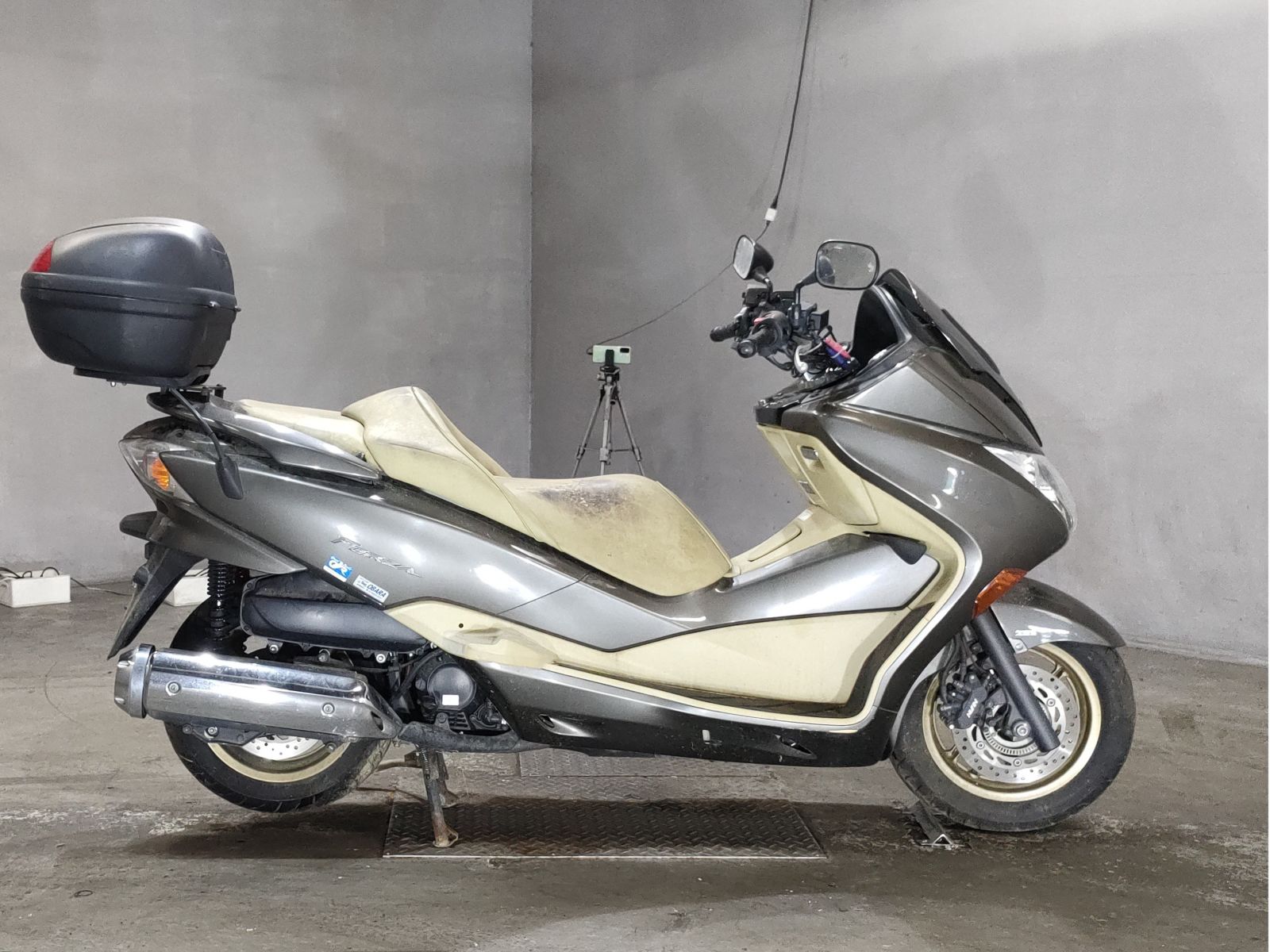 Honda FORZA Z 2008