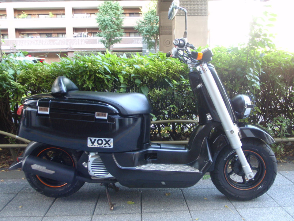 Yamaha VOX 2010