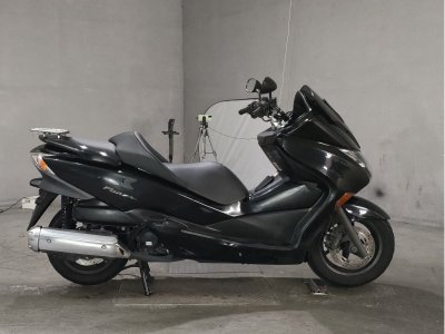 Honda FORZA Z 2008