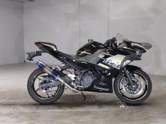 Kawasaki NINJA400 2020