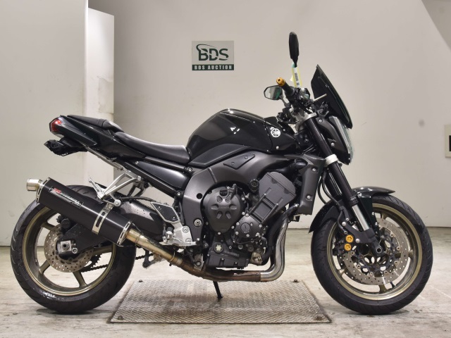 Yamaha FZ1-N 2009
