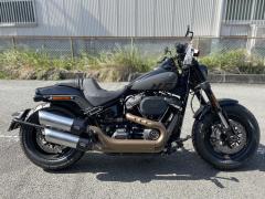 HD FAT BOB FXFBS1868 2023