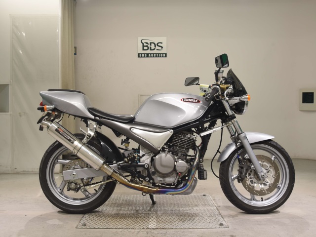 Suzuki GOOSE250 1992