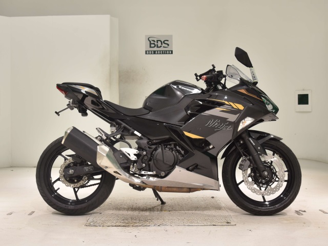 Kawasaki NINJA250 2020