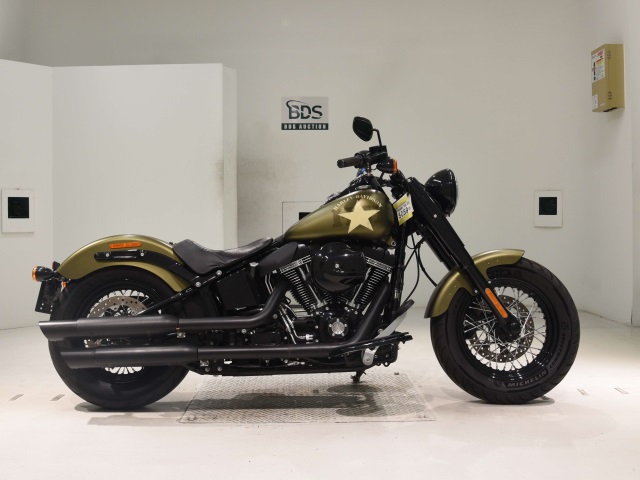 HD SLIM S FLSS1800 2017