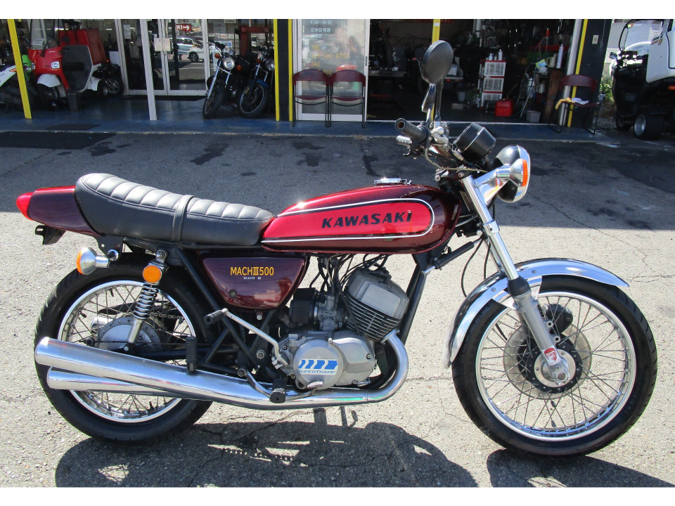 Kawasaki 500SS 2005