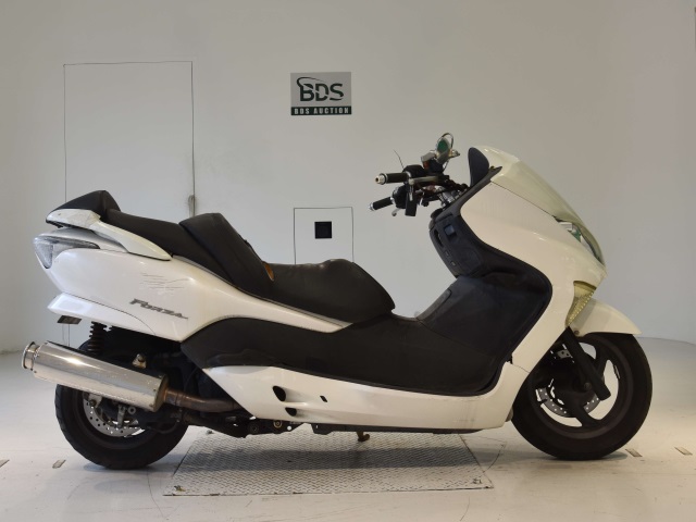 Honda FORZA Z 2005
