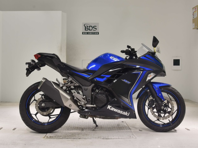 Kawasaki NINJA250 2015