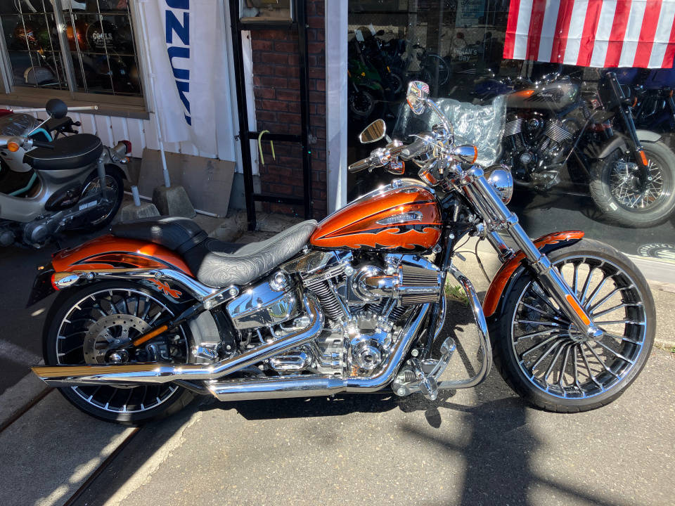 HD BREAKOUT FXSB1800 2014