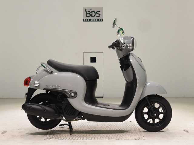 Honda GIORNO 2022