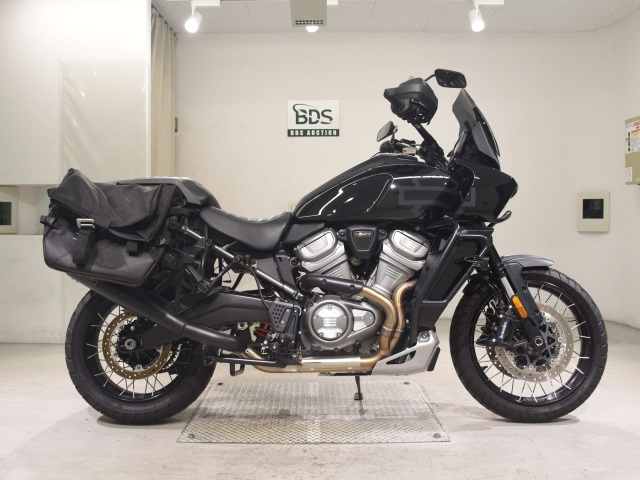 HD PAN AMERICA1250 S 2025