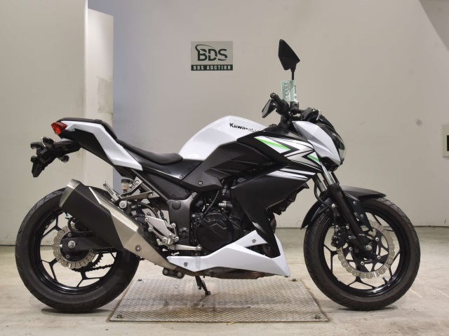 Kawasaki Z250 2014