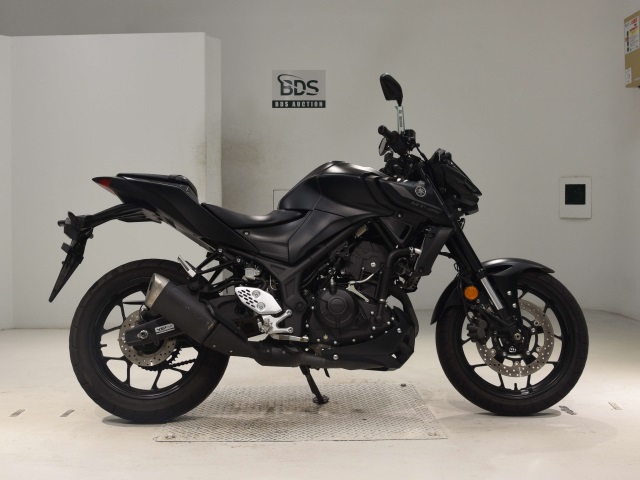 Yamaha MT-25 2022
