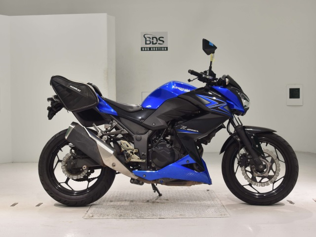 Kawasaki Z250 2015