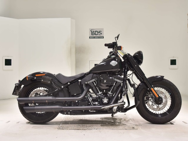HD SLIM S FLSS1800 2015
