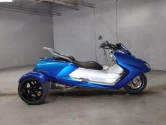 Yamaha MAXAM250 TRIKE 2006